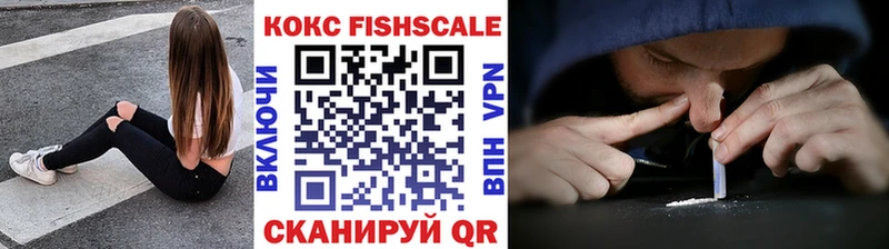 darknet наркотические препараты  Грайворон  Кокаин Fish Scale  мега ONION 
