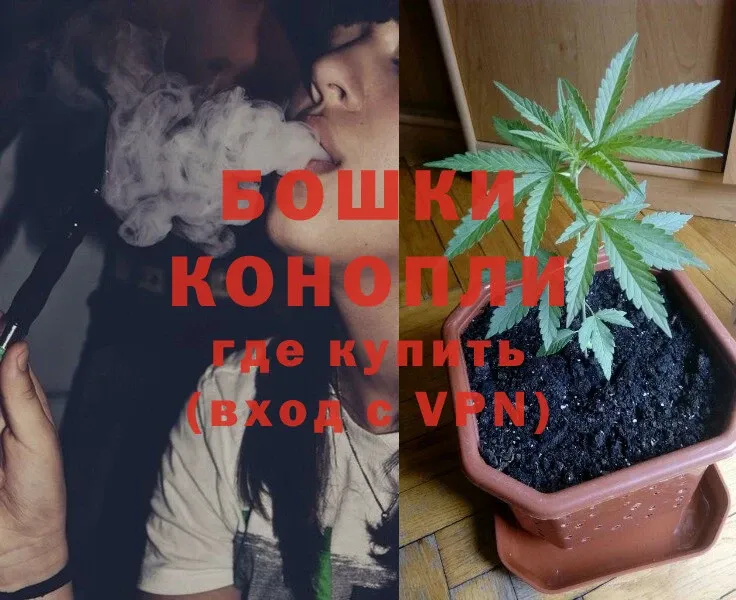 Канабис Ganja  Грайворон 